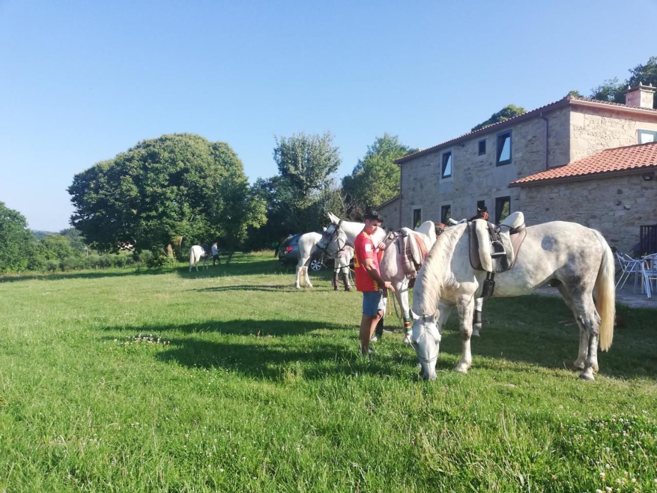 Hosteria Calixtino Palas de Rei Kültér fotó
